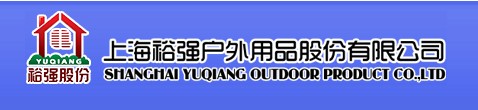 成功案例